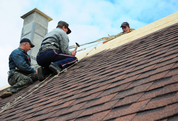 Best Roof Repair Services  in Yorkville, WI